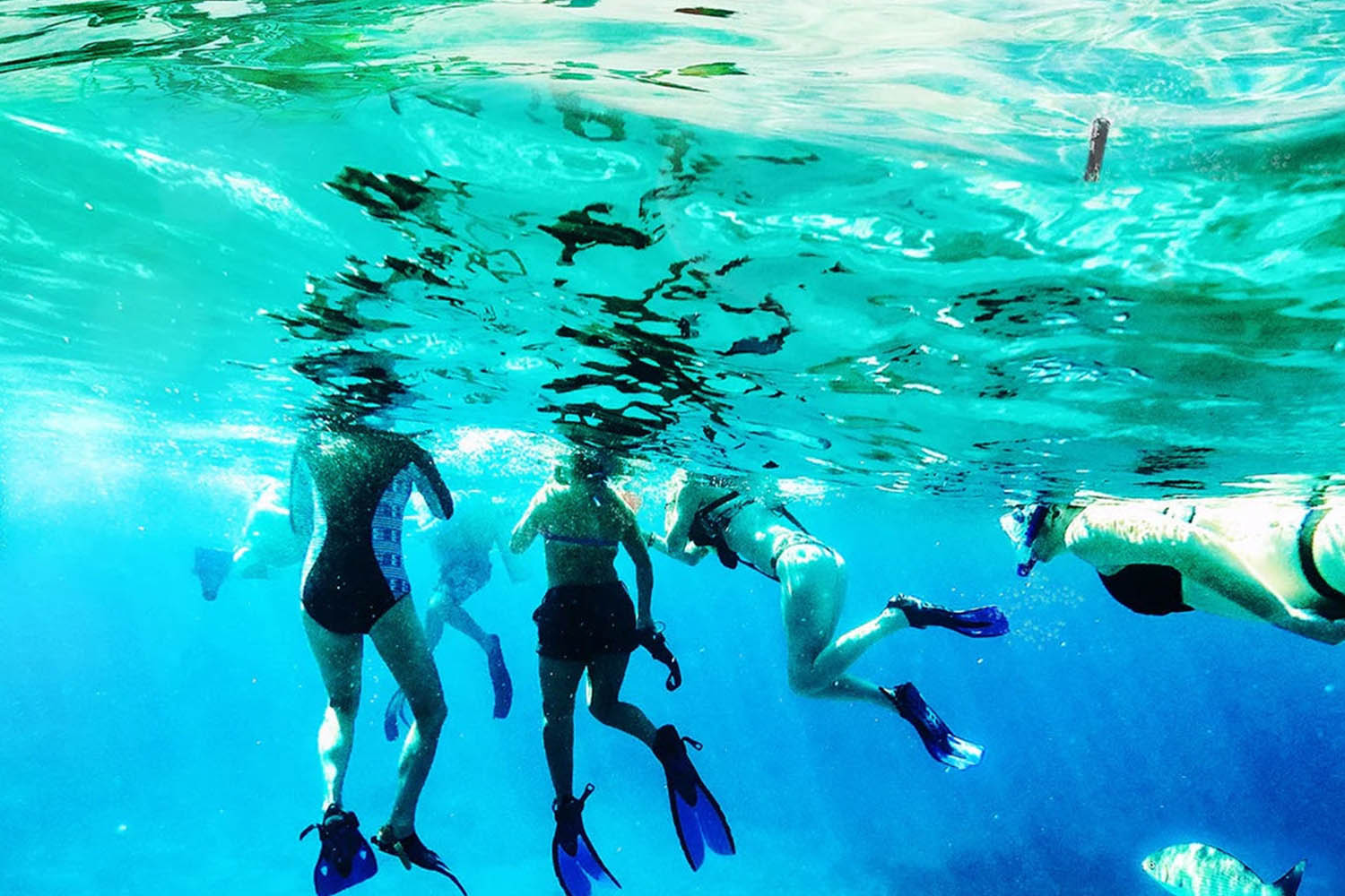 Why you need a portable safe for your winter Caribbean vacation