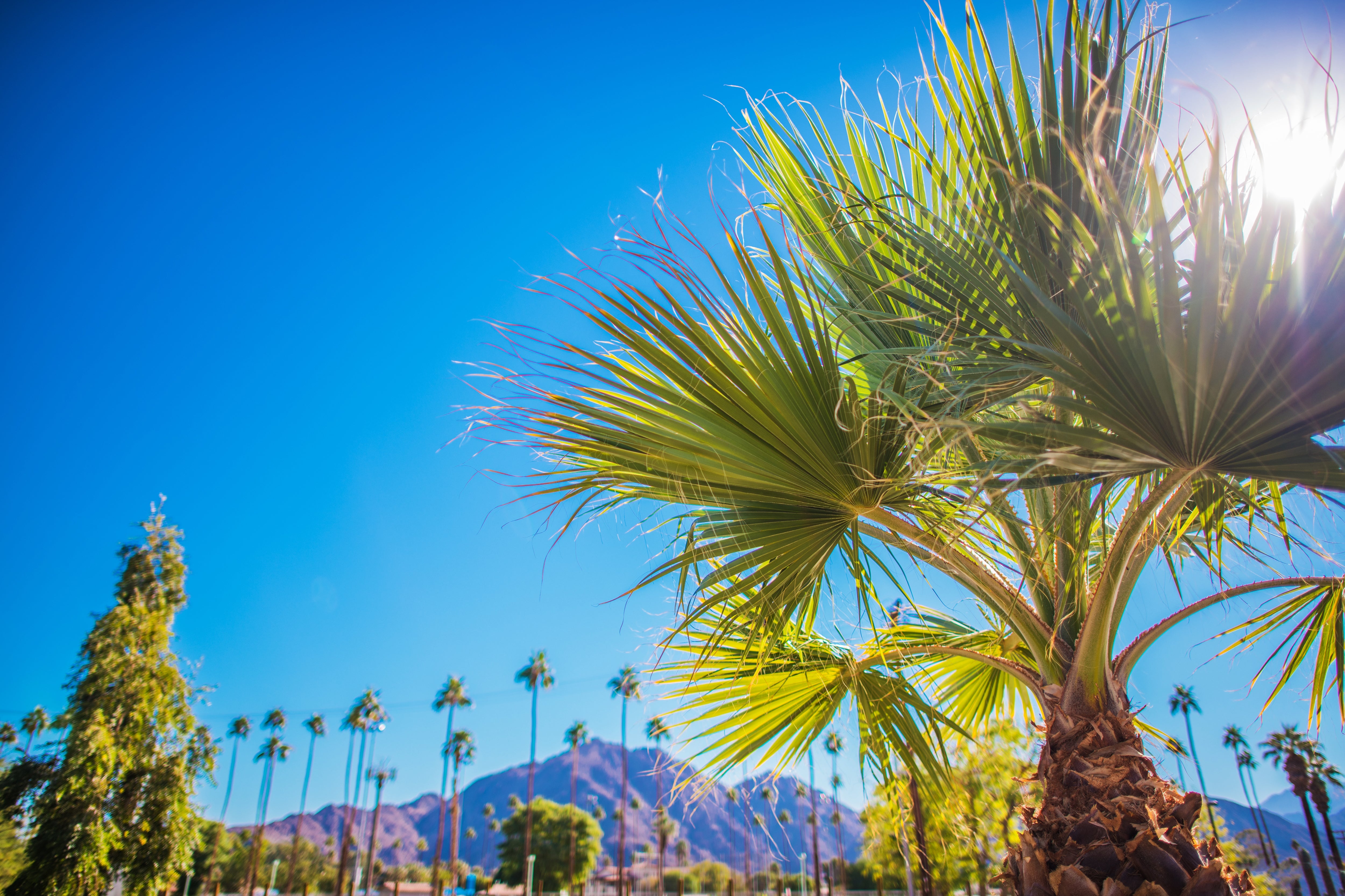 Best US Camping Music Festivals to Attend in 2016