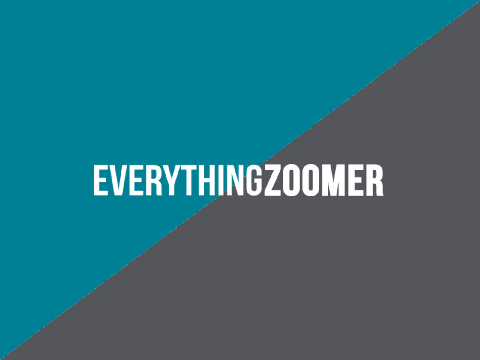Everything Zoomer