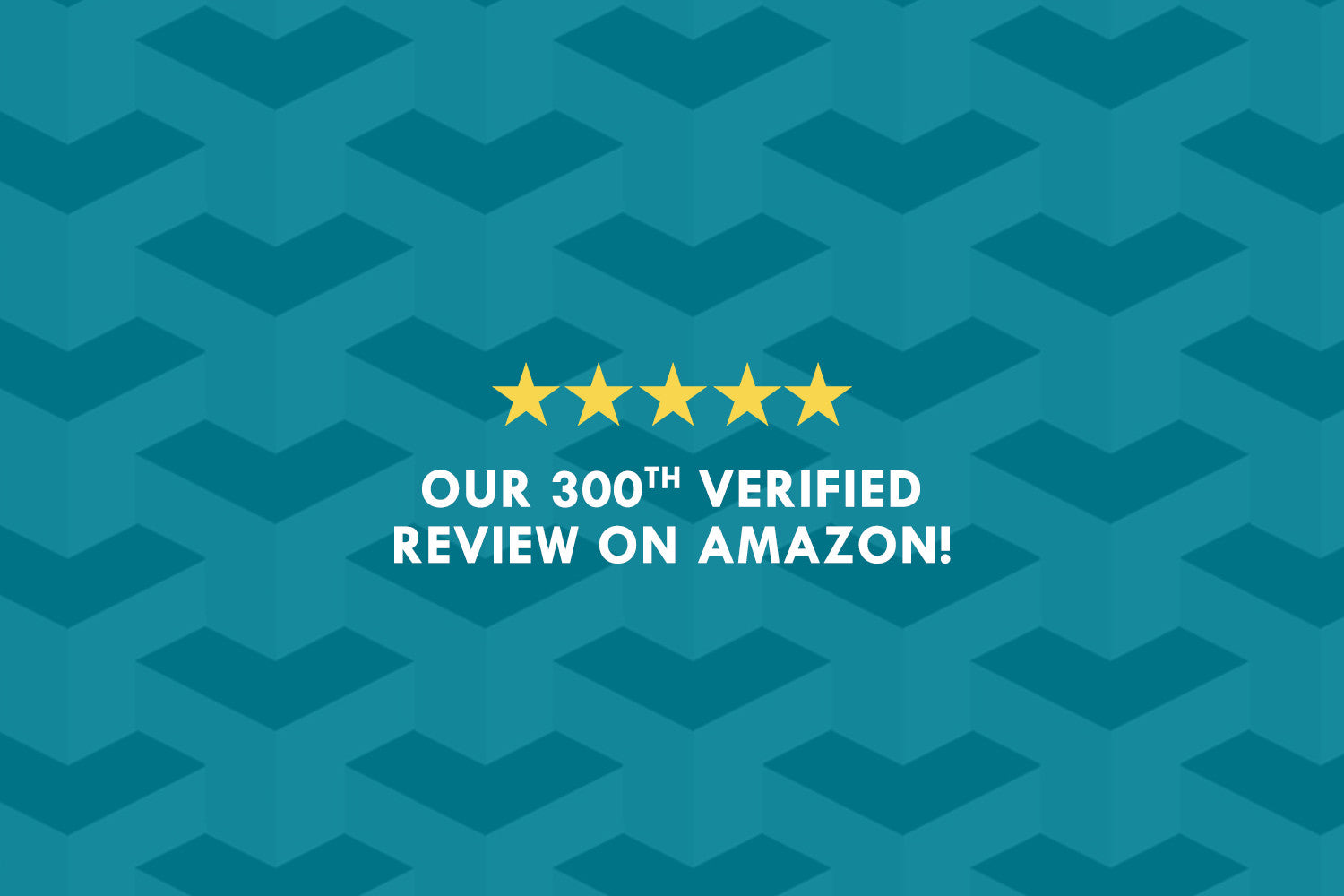 Our Portable Safe's 300th Verified Amazon Review!